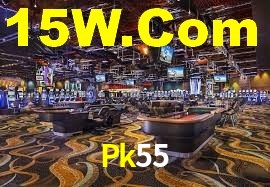 Premium Interface Pk55